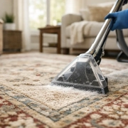 Area Rug Cleaning That Protects Your Investment