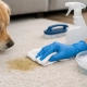 How to Remove Pet Urine From Carpet Safely