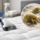 Mattress Cleaning for Dust Mites: What Works